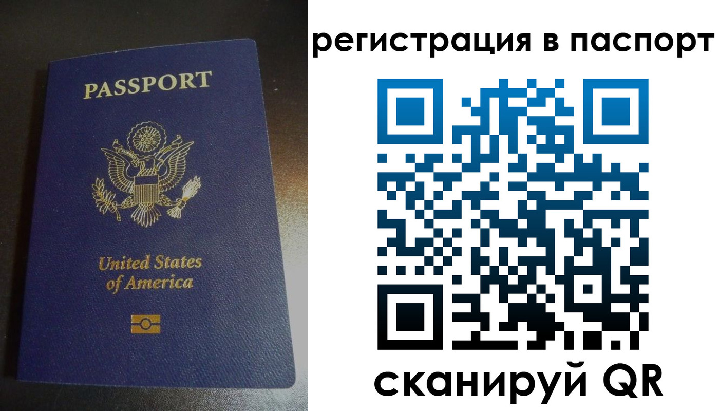 прописка для школы в Тосно